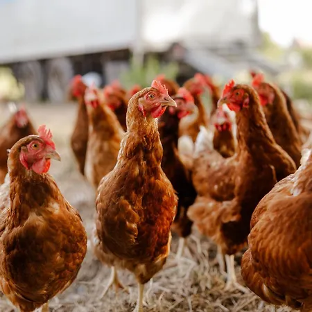 Appartement Inselhaus Eg Staberdorf