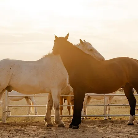 Inselhaus Eg * Staberdorf