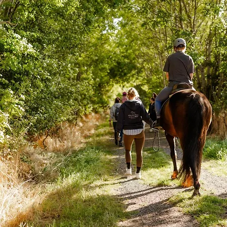 Inselhaus Eg Appartement