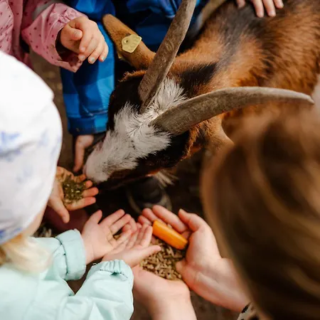 Appartement Inselhaus Eg