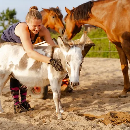 Inselhaus Eg Apartment *