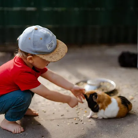 Apartment Inselhaus Eg *