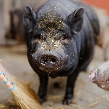 Inselhaus Eg Appartement Staberdorf