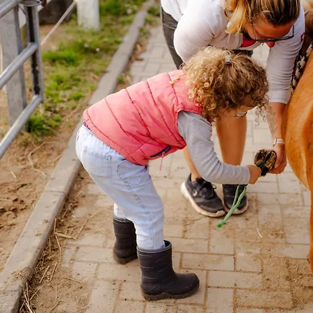 Inselhaus Eg Apartment
