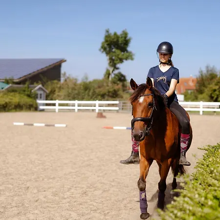 Inselhaus Eg Apartment *