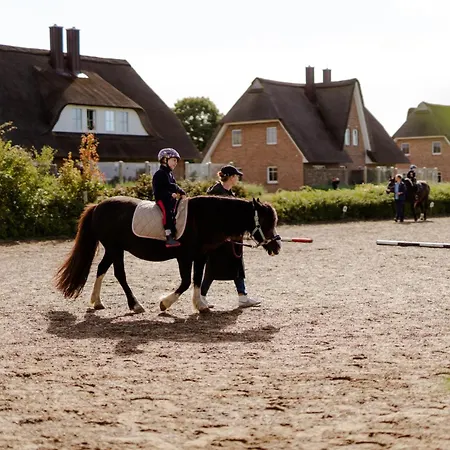 Apartment Inselhaus Eg Staberdorf