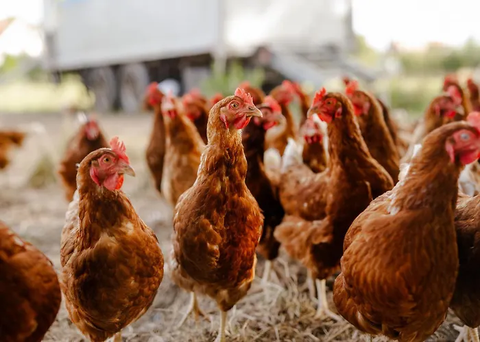 Apartamento Inselhaus Eg Staberdorf