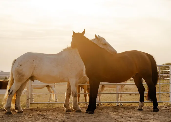Inselhaus Eg * Staberdorf
