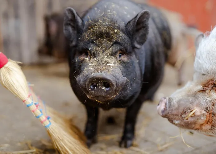 Inselhaus Eg Apartamento Staberdorf