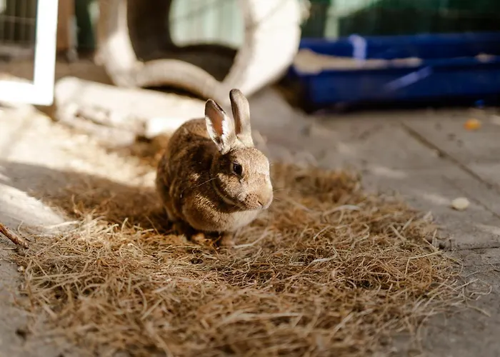 Inselhaus Eg Staberdorf