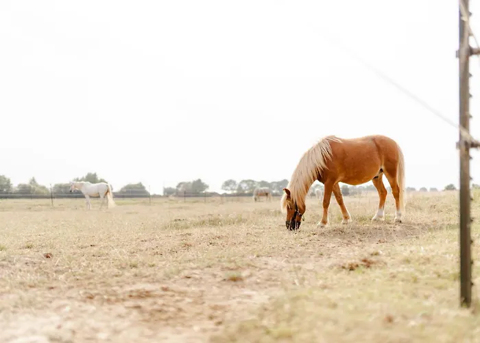 Apartamento Inselhaus Eg
