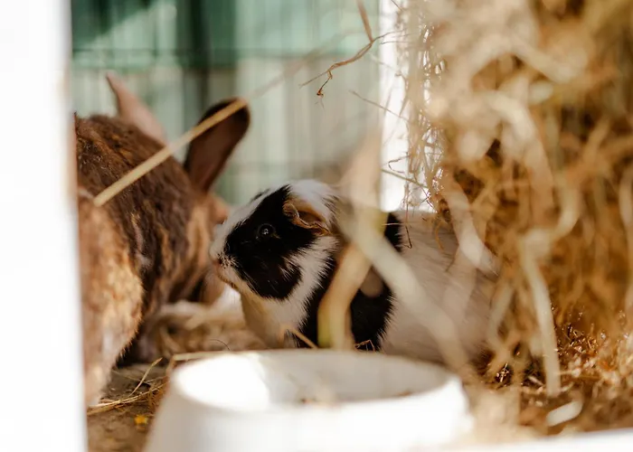 Apartamento Inselhaus Eg Staberdorf